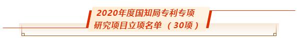 尊龙凯时人生就是搏科技乐成获批国知局2020年度专利专项研究项目