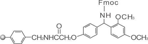 Rink amide-AM resin